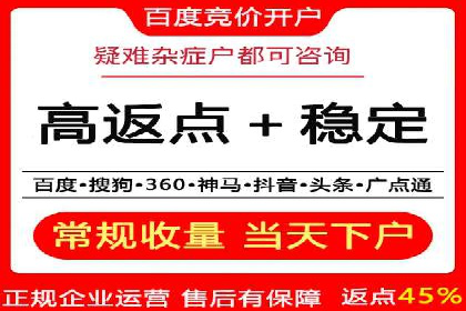 SEM优化策略：案例解读成功之道